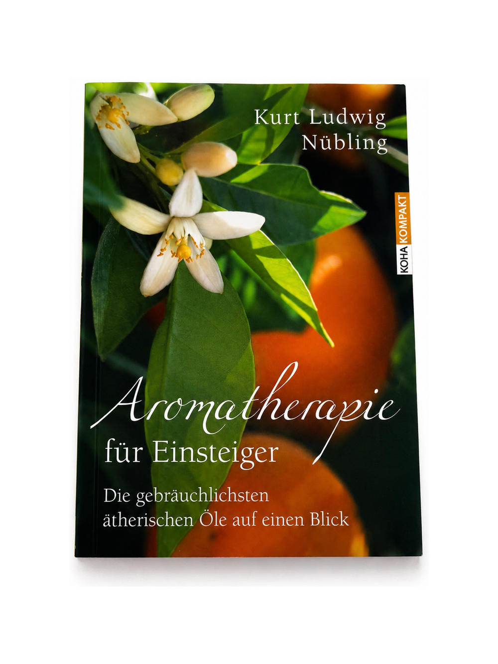Thematic Focus